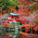 Portland Japanese Garden