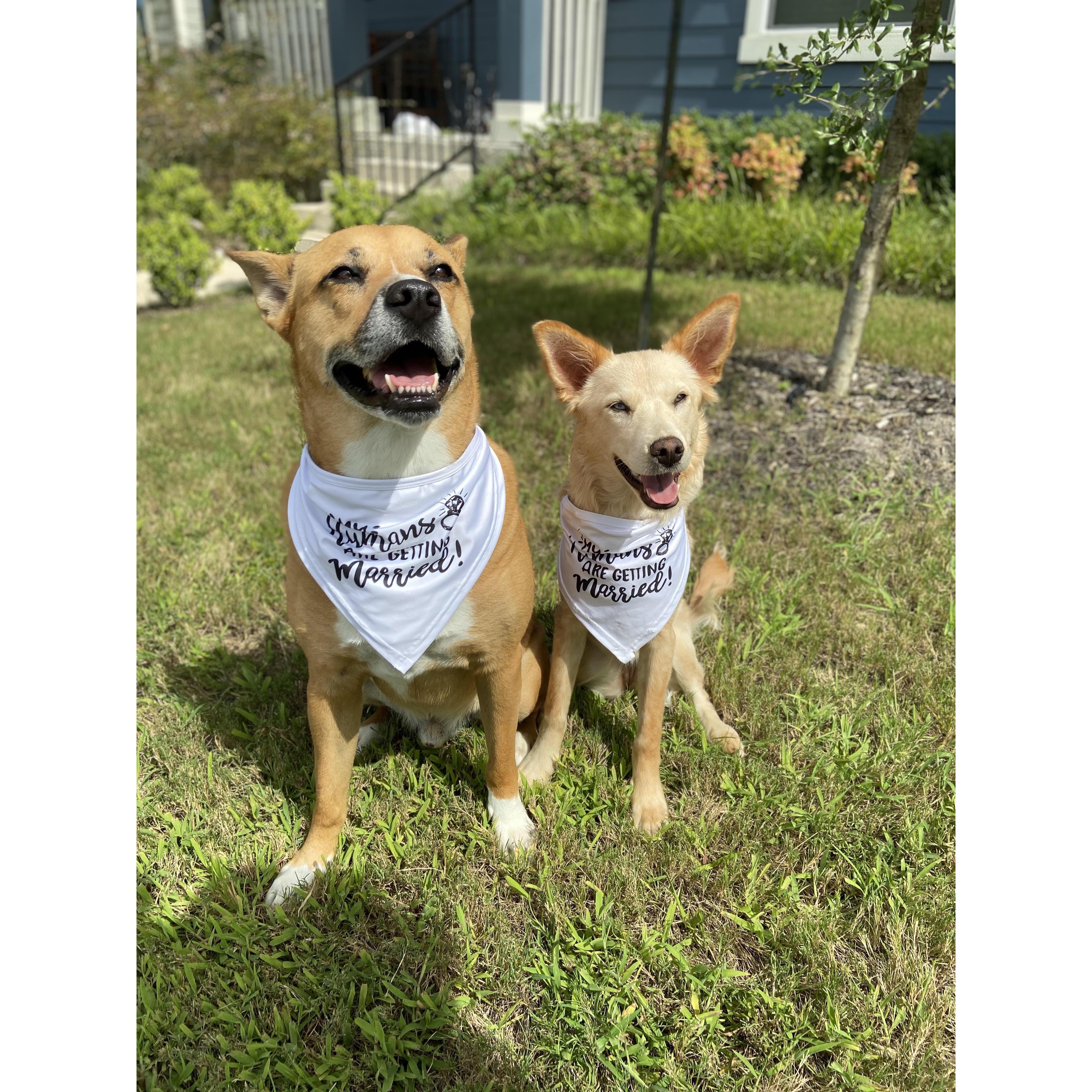 Our humans are getting married!