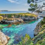 Point Lobos State Natural Reserve