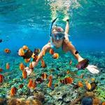 Snorkeling Cabo - VisitBalandra