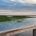 Paynes Prairie Preserve North Entrance