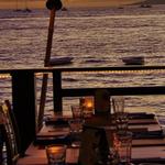 Hawaii Tasting Tours