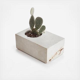 Block Planter with Cactus