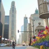 The Magnificent Mile