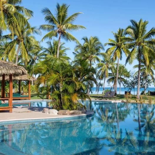 Dinner and Drinks in Fiji