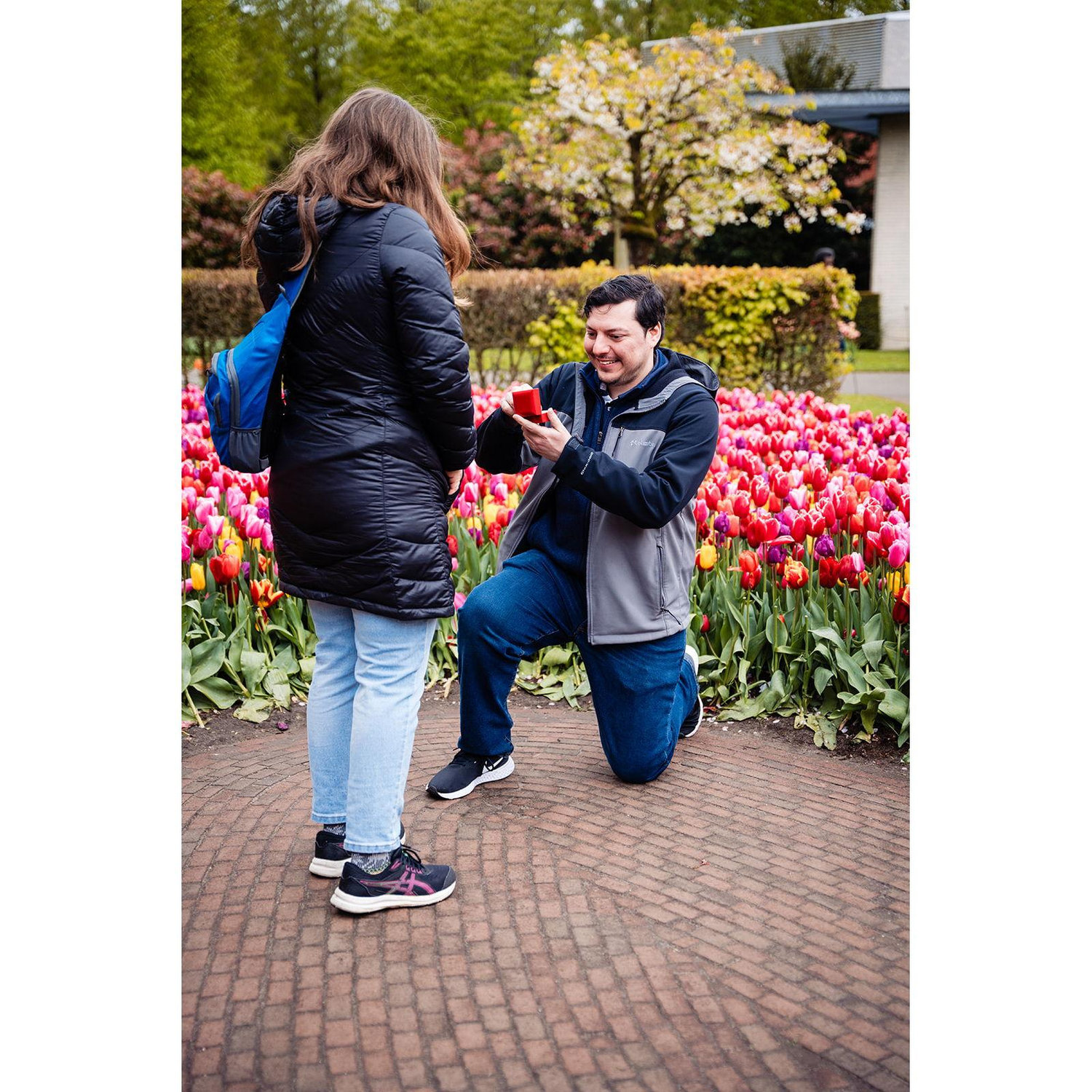 The proposal at Keukenhof Gardens in Amsterdam