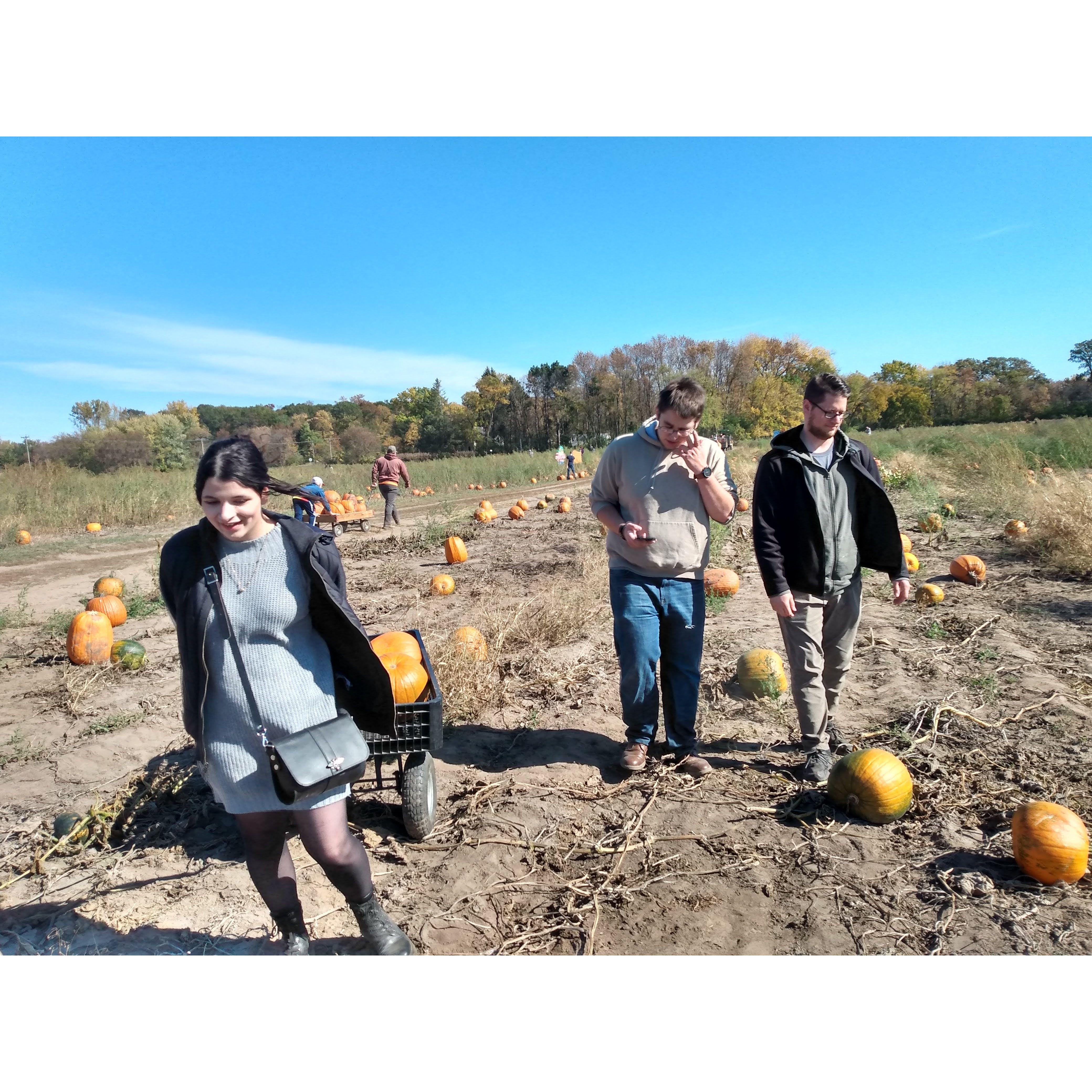 pumpkin picking!