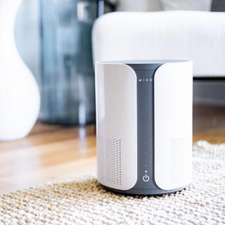 Air Purifier with Essential Oil Diffuser