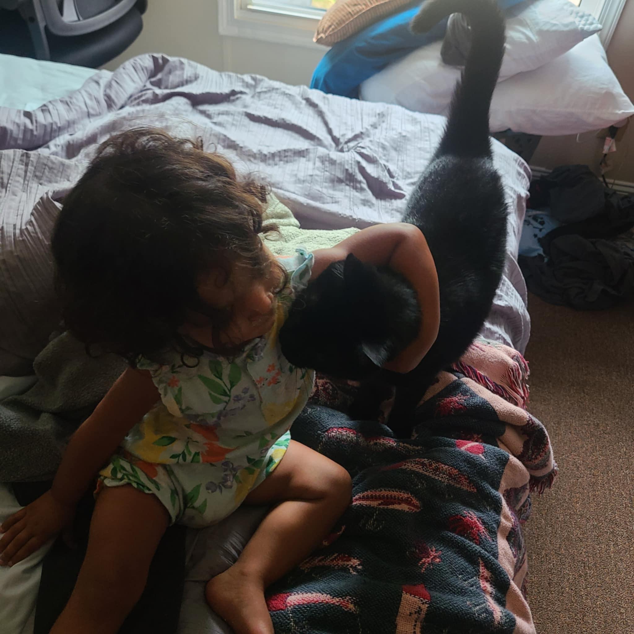 Daisy and Loki hanging out