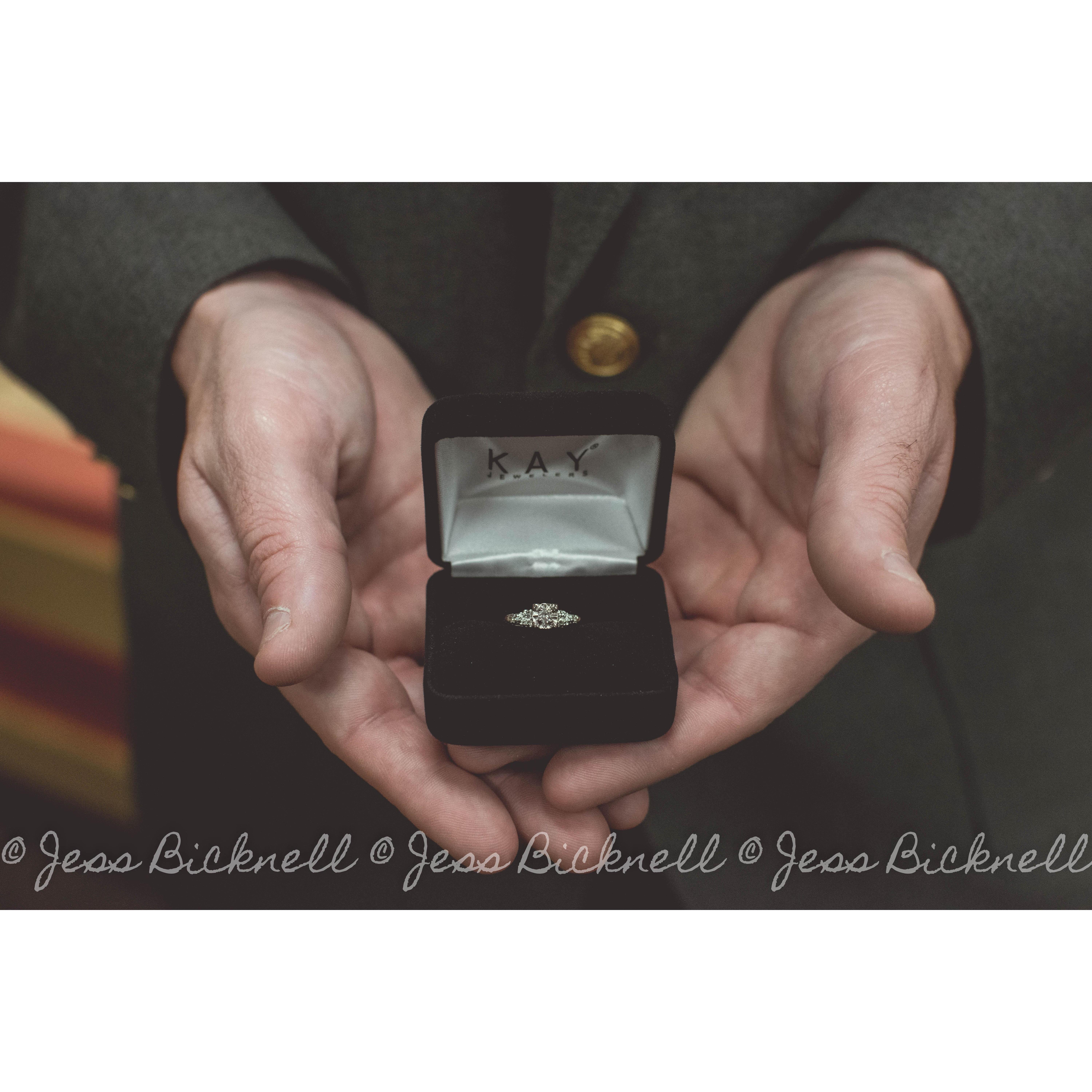 The ring! Boy, has this ring been the topic of discussion for months! Bree dropped little hints, big hints, and bombs, that she wanted a ring. But Kevin had one for her all along!