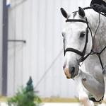 World Equestrian Center — Ocala