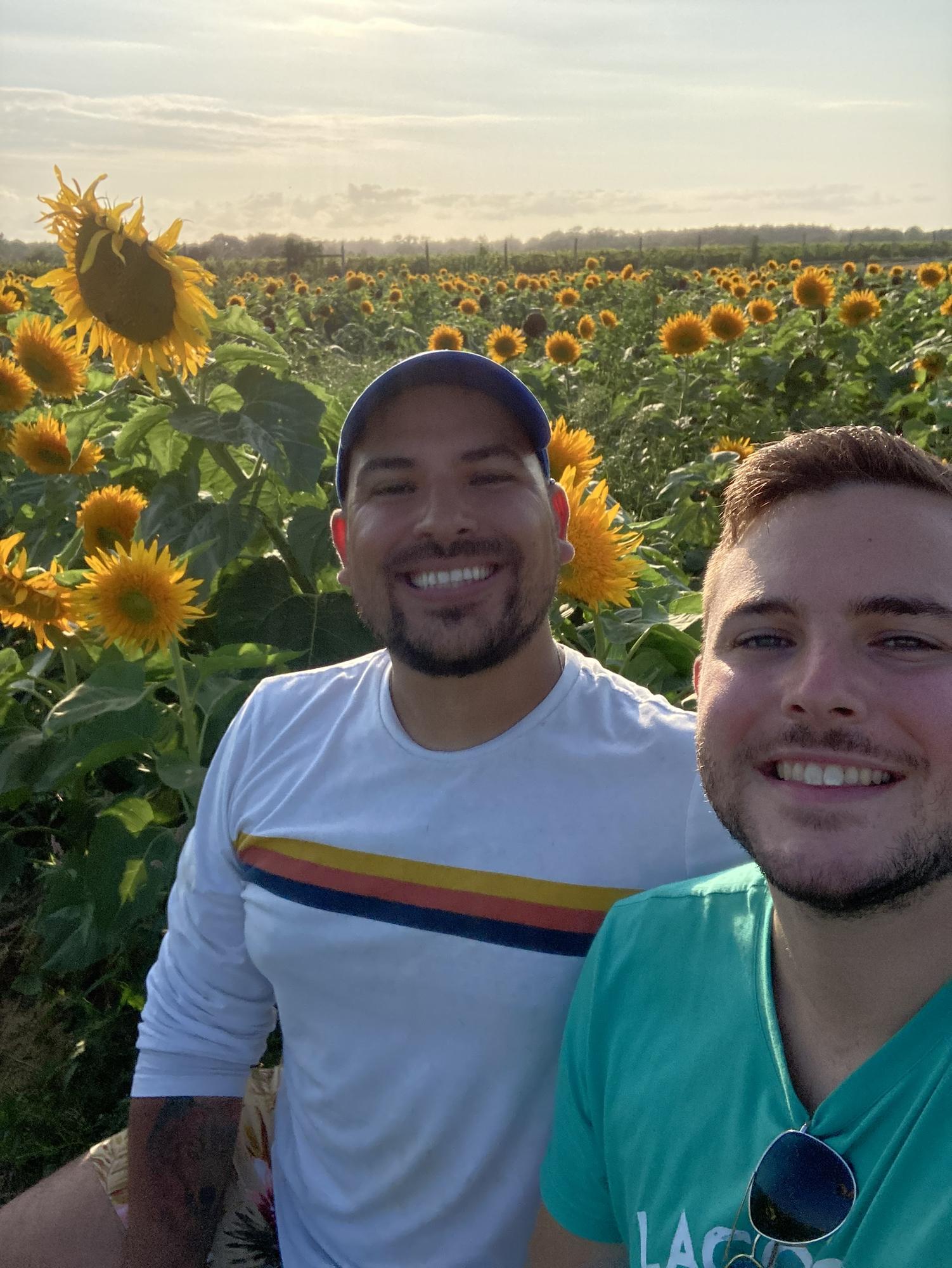 North Fork Sunflower Maze, NY 2021