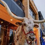 Haywire Texan Restaurant