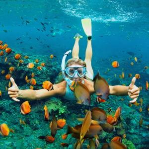Snorkel Gear Rental