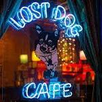 Lost Dog Café & Lounge