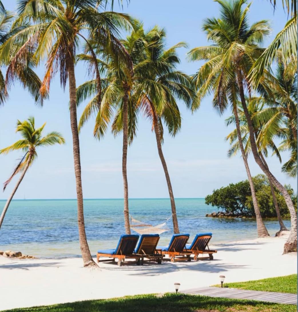 The Wedding Website of Haley Royer and Adrian Leon