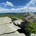 Michaux State Forest
