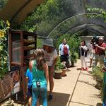 Heard Natural Science Museum