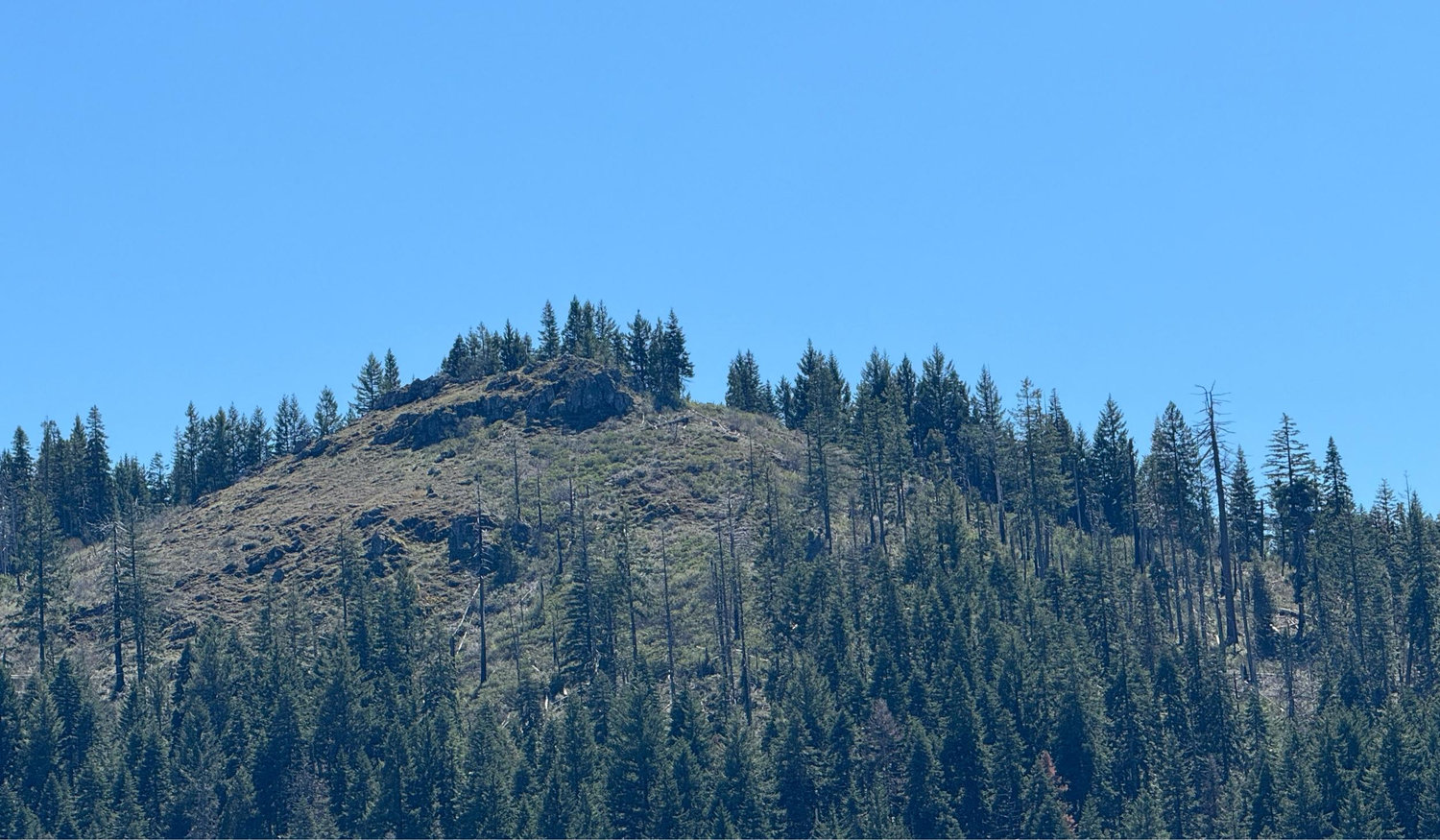 Footer image