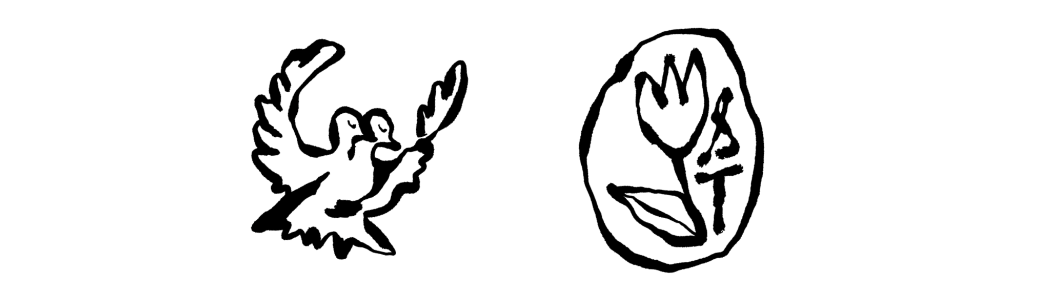 The Wedding Website of Shannon McCann and Terell Drayton