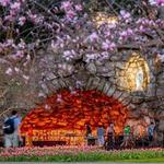 Grotto of Our Lady of Lourdes