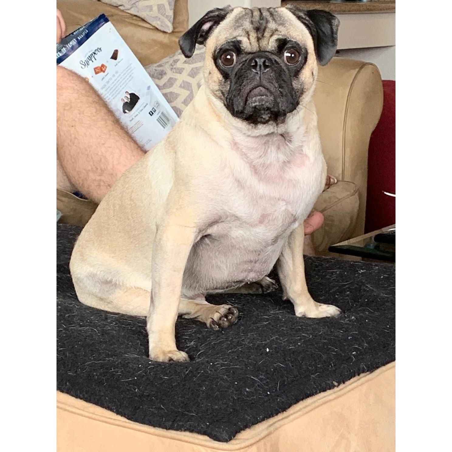 Wilson 2019