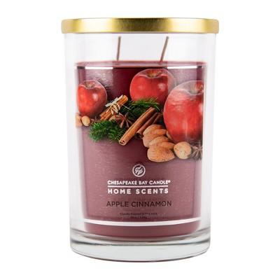 19oz Glass Jar 2-Wick Candle Apple Cinnamon - Home Scents By Chesapeake Bay Candle