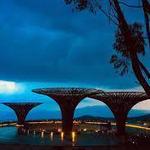 Entoto Park - እንጦጦ መናፈሻ