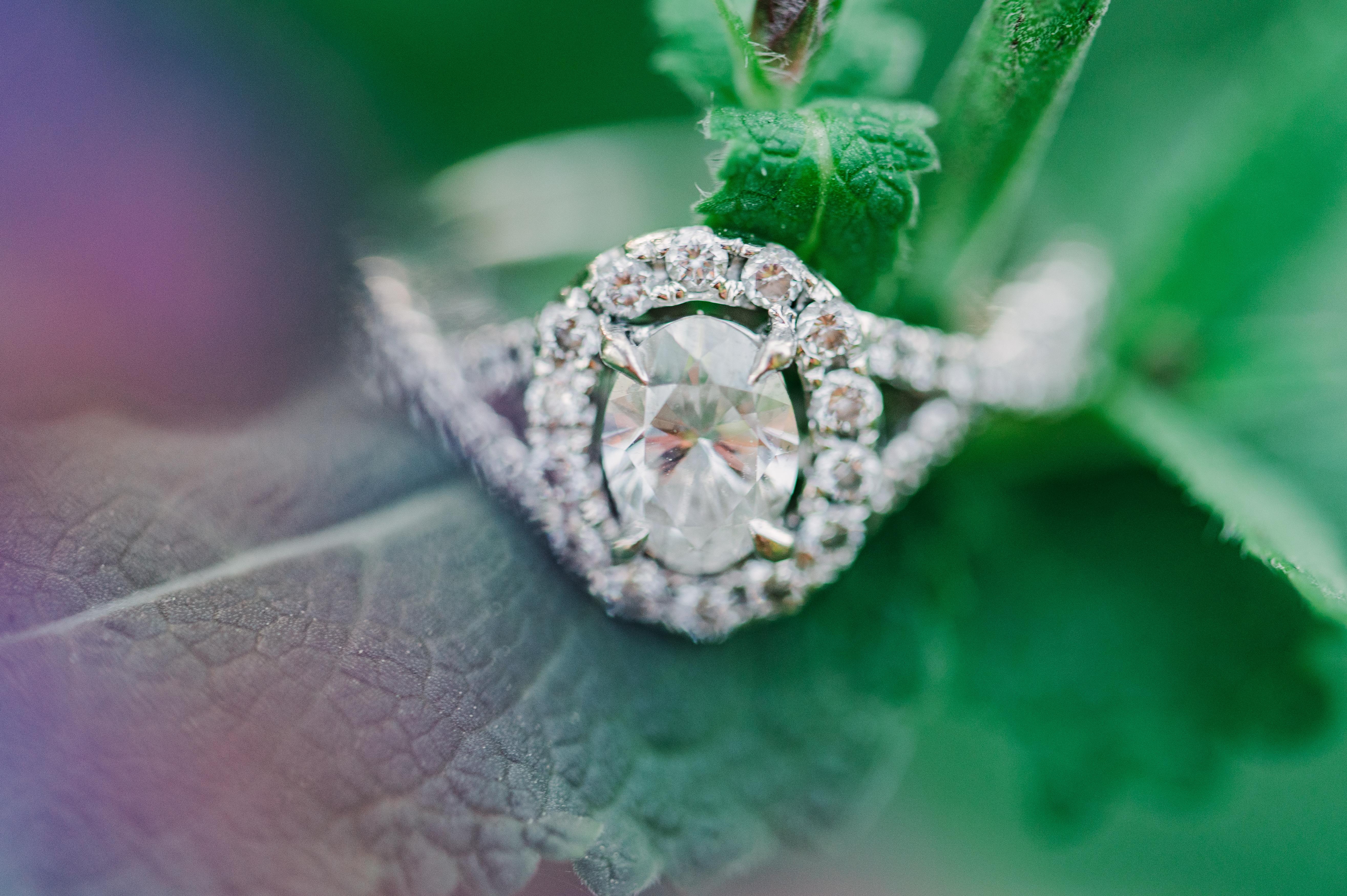 The Wedding Website of Matthew Lozzi and Julia Brawley