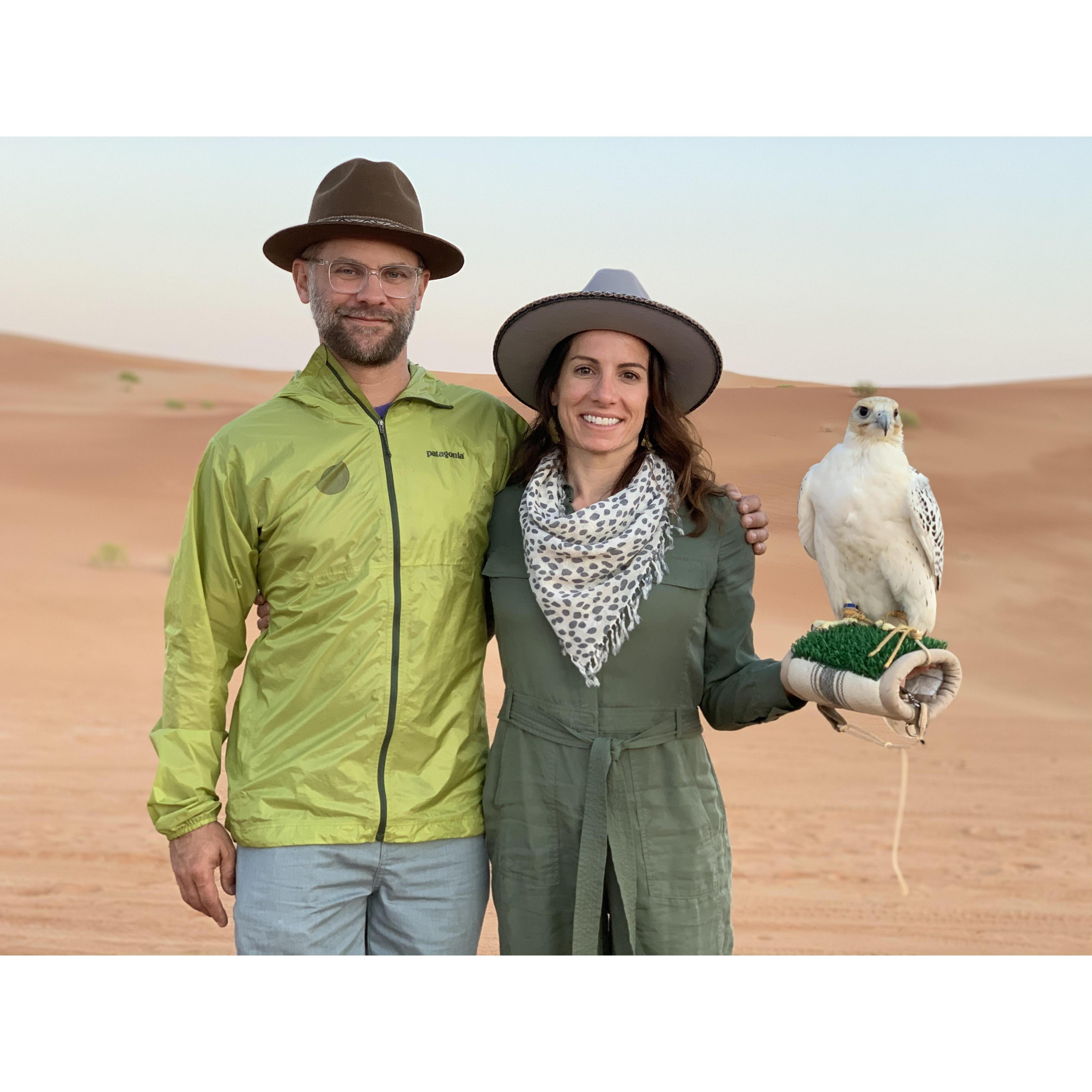 Falcon hunting in Abu Dhabi