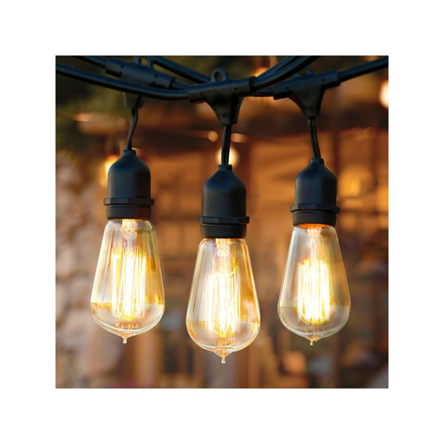 Brightech 15-Bulb Incandescent Ambience Pro Hanging 40W 48ft ST64 Indoor Outdoor Plug-in String Lights Clear Bulb Black Wire