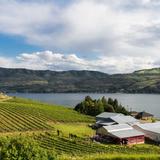 Lake Chelan Winery