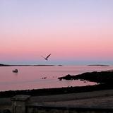 Willows Beach