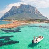 Day trip to the islands of Tavolara & Molara