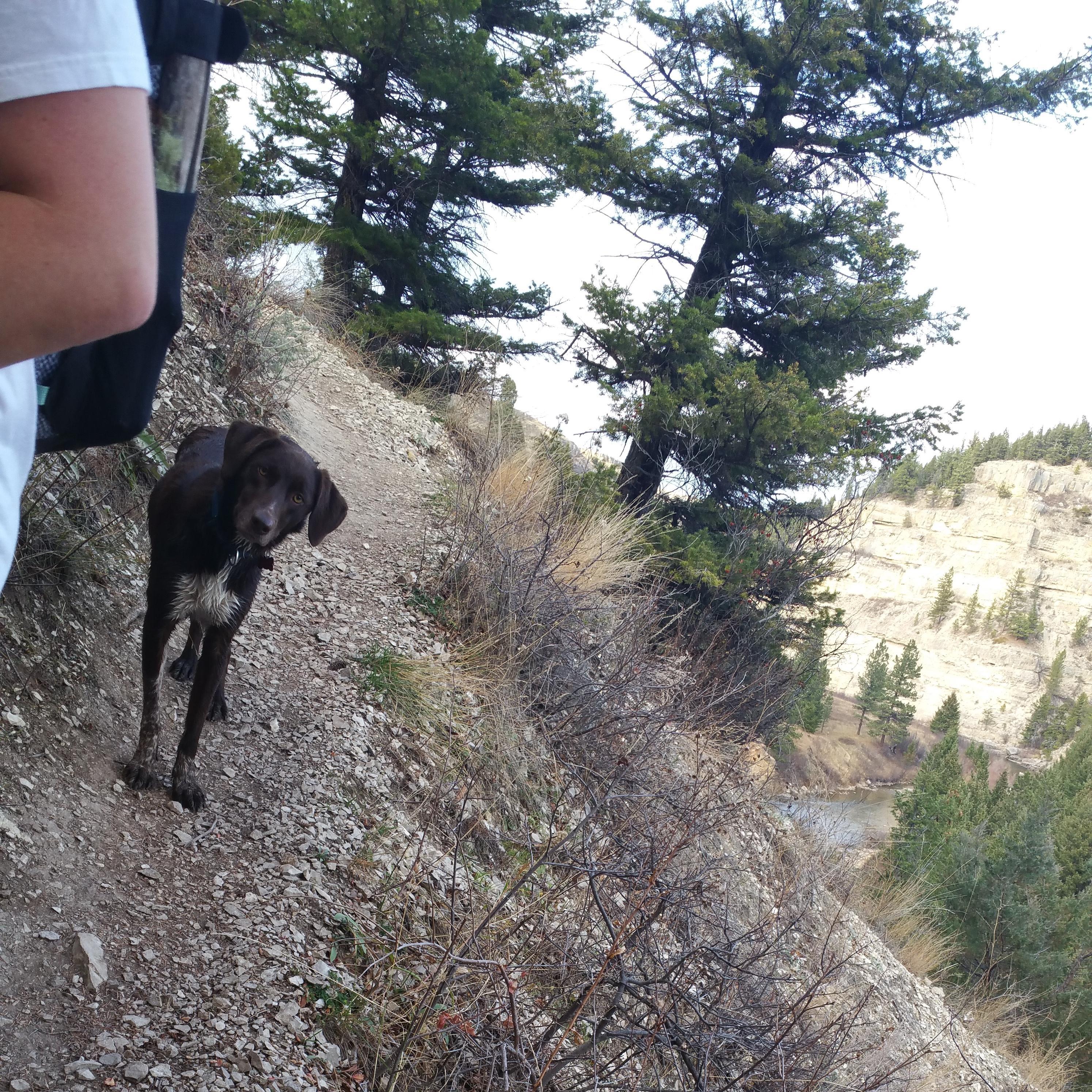 Zero loves livin' on the edge.