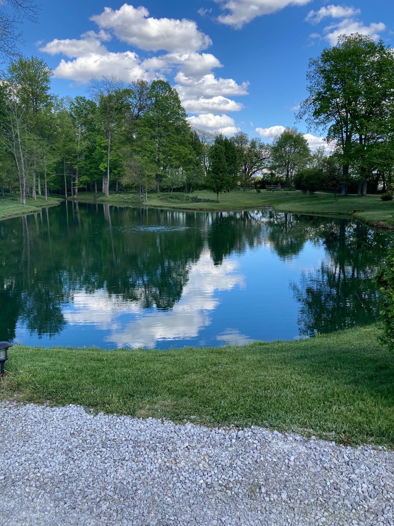 Wedding venue.