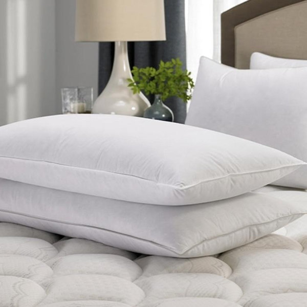 Hilton to Home Hotel Collection | Down Pillow