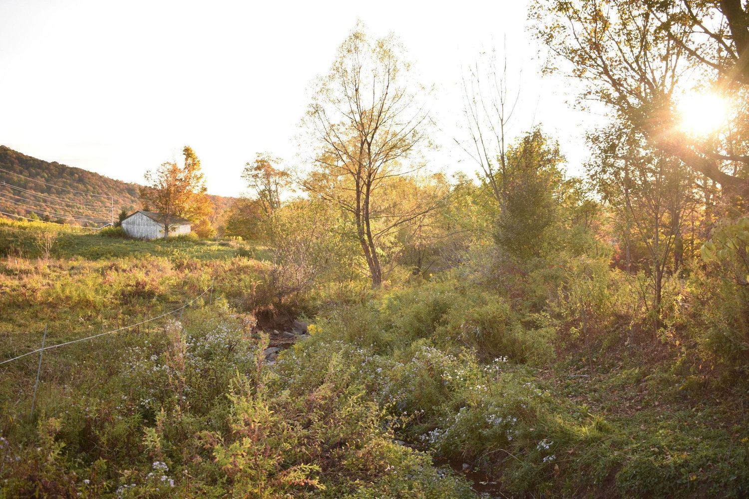 The Wedding Website of Julie Flanagan and José Resendiz