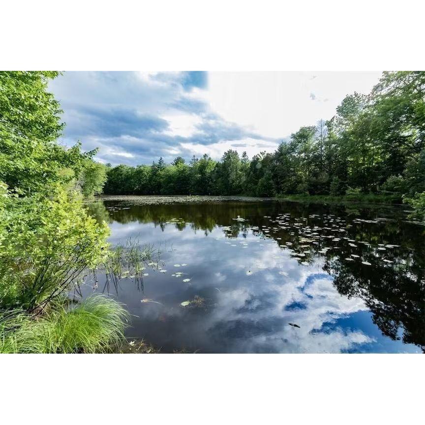 private fishing pond