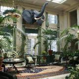 George Eastman Museum