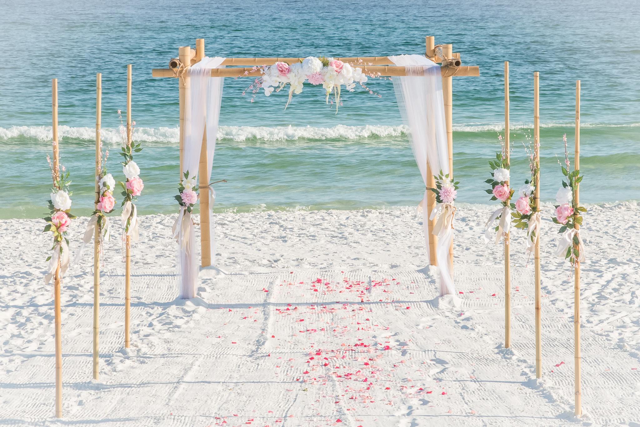 The Wedding Website of Scott Jackson and Elle Collins