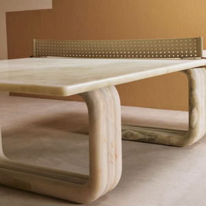 Ping Pong Table