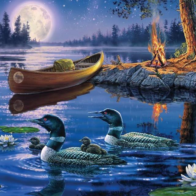 Buffalo Games - Darrel Bush - Loons by Moonlight - 1000 Piece Jigsaw Puzzle for Adults Challenging Puzzle Perfect for Game Nights - Finished Puzzle Size is 26.75 x 19.75