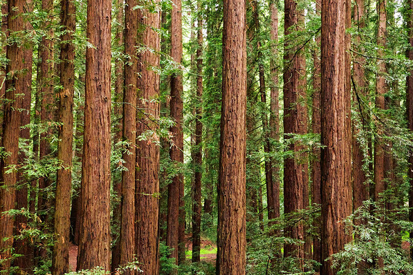 The Wedding Website of Sarah Richoux and Scott Taylor