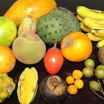 Go on a local fruit tour