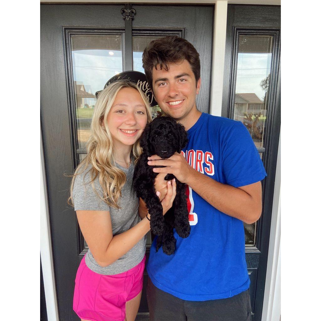 The day we became paw-rents! Hank joined the fam in July 2022.