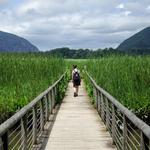 Constitution Marsh Audubon Center and Sanctuary