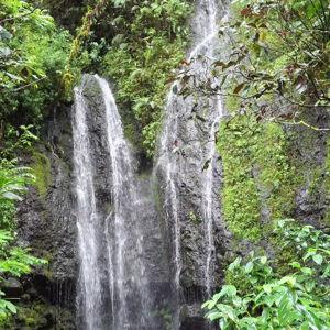 Tahiti - 4x4 Tour in Papeeno Valley