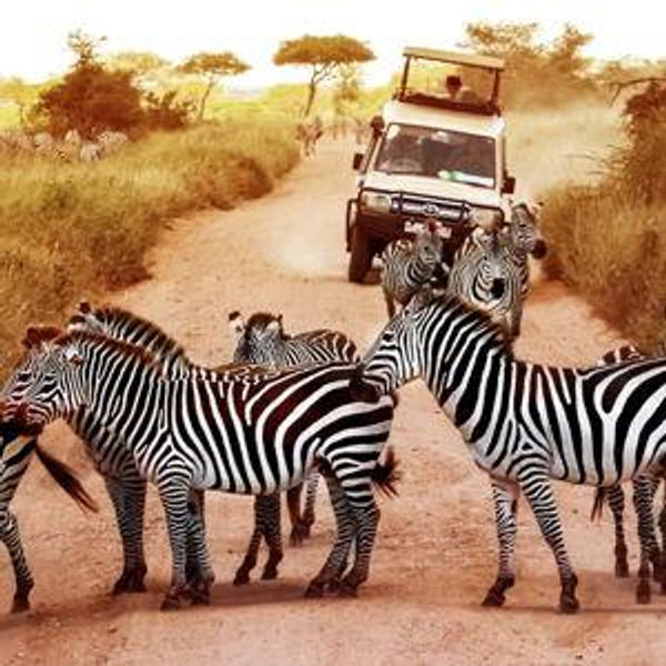 Game Drives