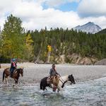 Horseback Riding